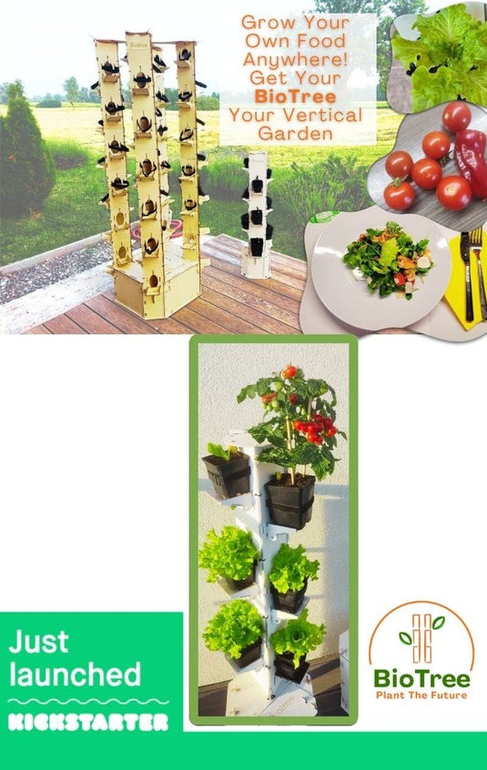 Bio Bio Tree Plant BioTree